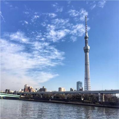 西游修仙传手游果盘版本下载